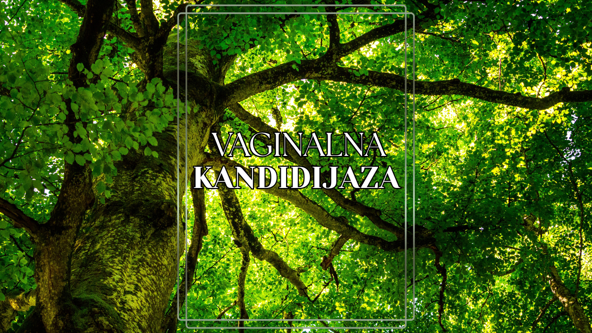 Vaginalna kandidijaza – šta je i kako se leči?