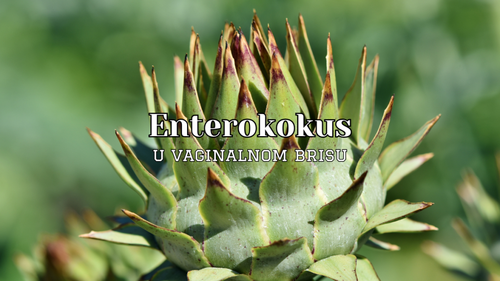 enterokokus u cervikalnom brisu