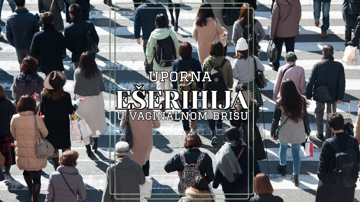 Uporna ešerihija u vaginalnom brisu – Uzroci, simptomi i tretmani