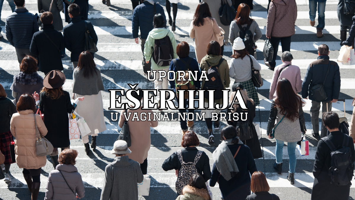 Uporna ešerihija u vaginalnom brisu – Uzroci, simptomi i tretmani
