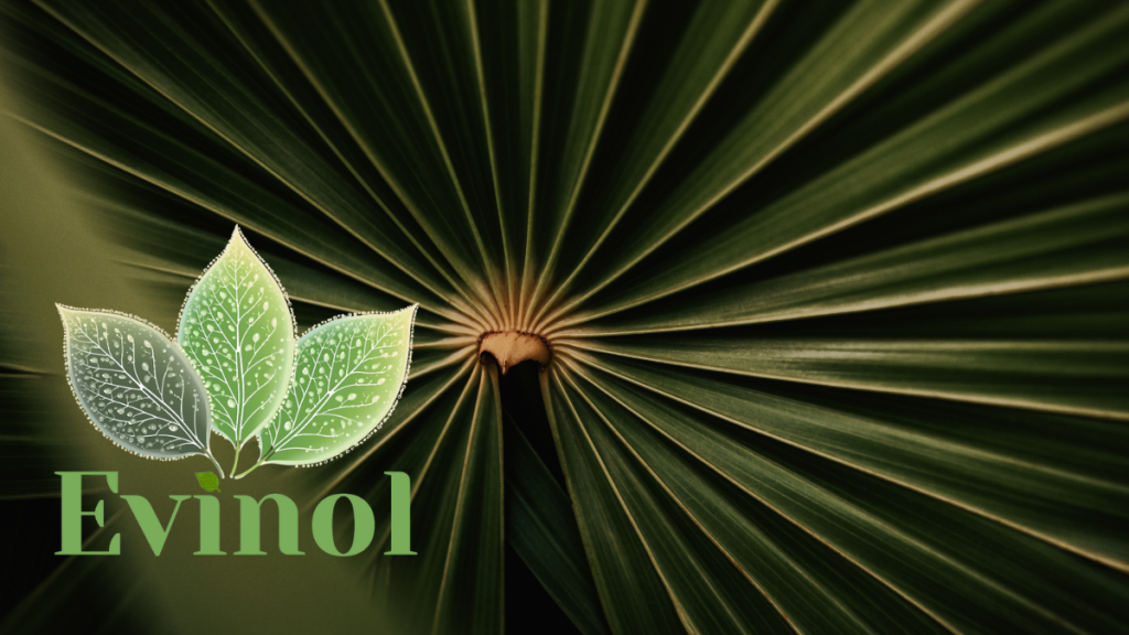 evinol doo