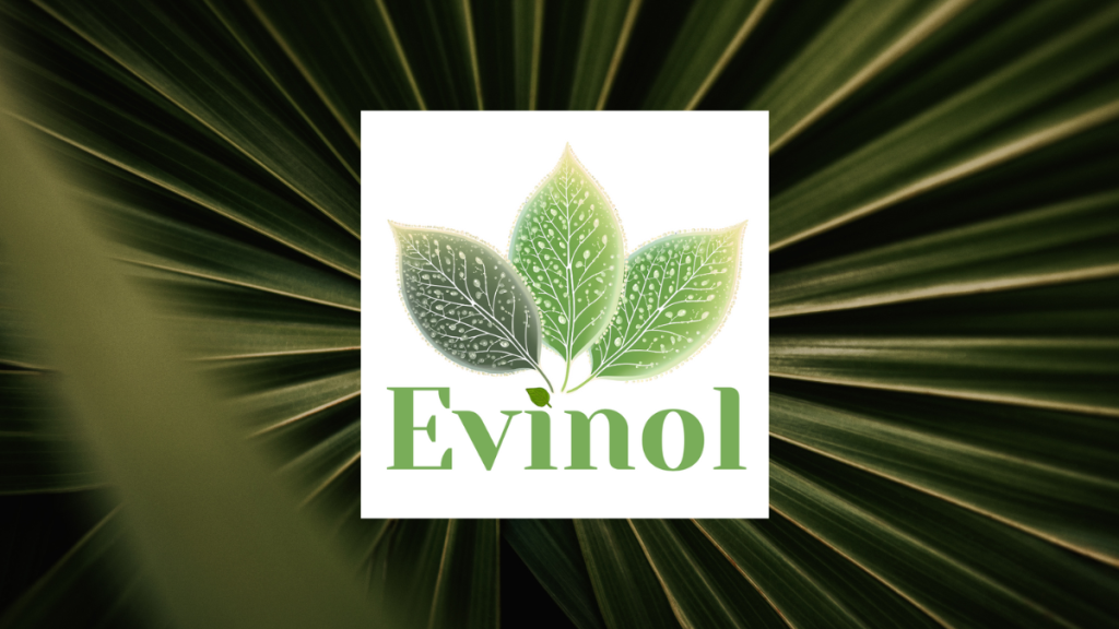 evinol doo politika privatnosti