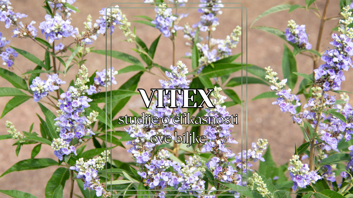 Vitex – konopljika: zvanične studije o upotrebi i efikasnosti