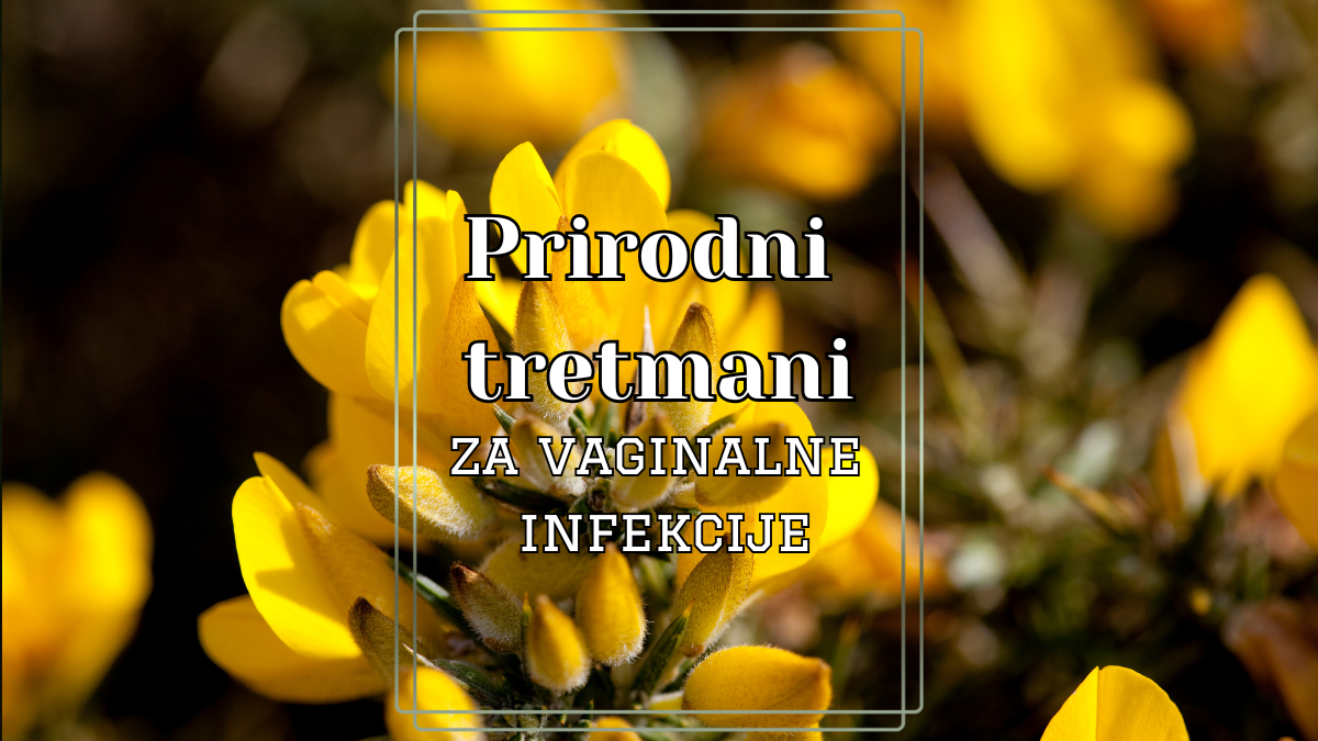 Prirodni tretmani za vaginalne infekcije: Kako vagitorije mogu pomoći u lečenju različitih vrsta infekcija