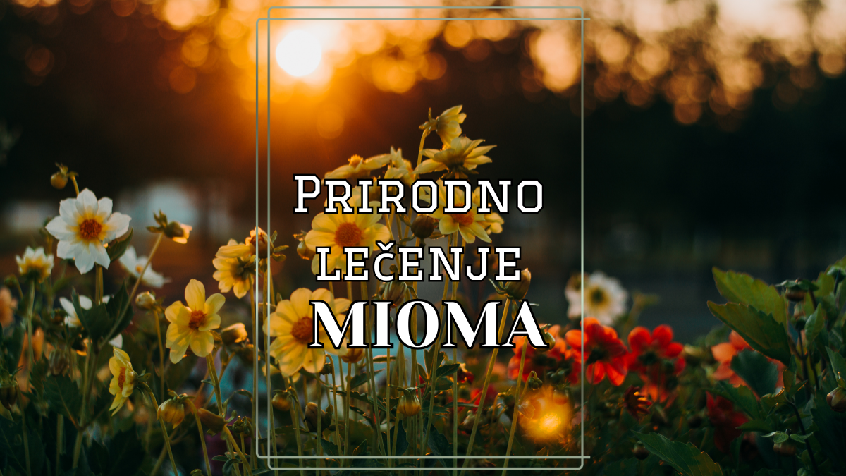 Prirodno lečenje mioma: Alternativni pristupi i biljni tretmani