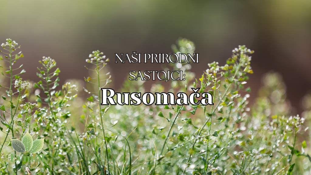 rusomača