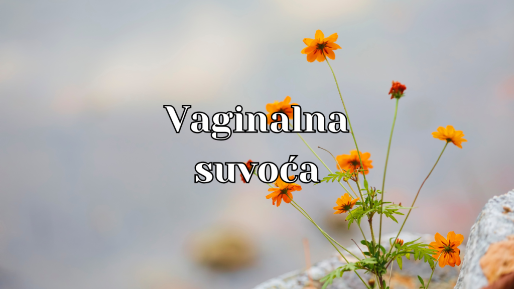 vaginalna suvoća