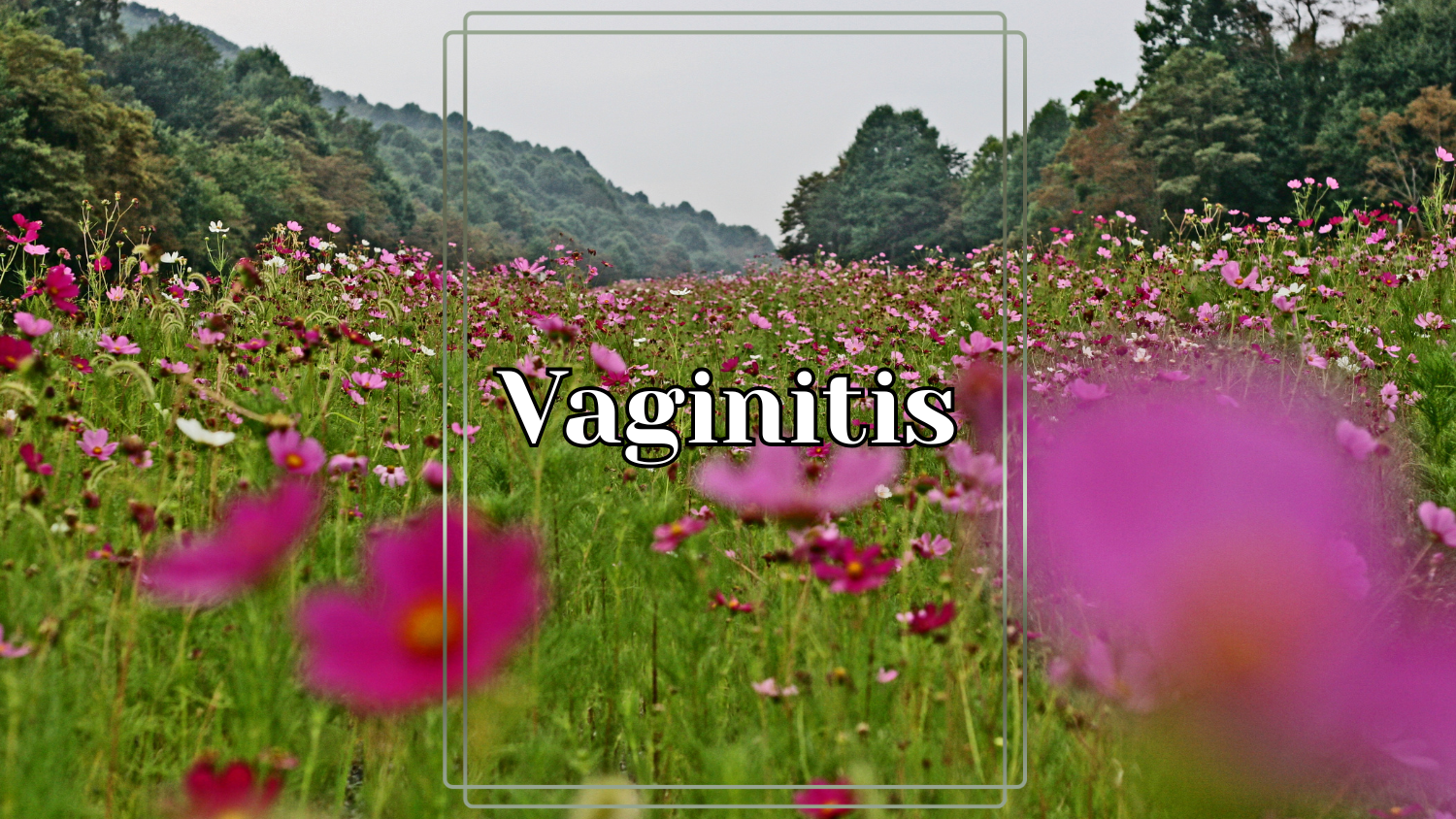 vaginitis