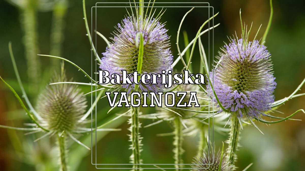 Bakterijska vaginoza: simptomi i rešenja