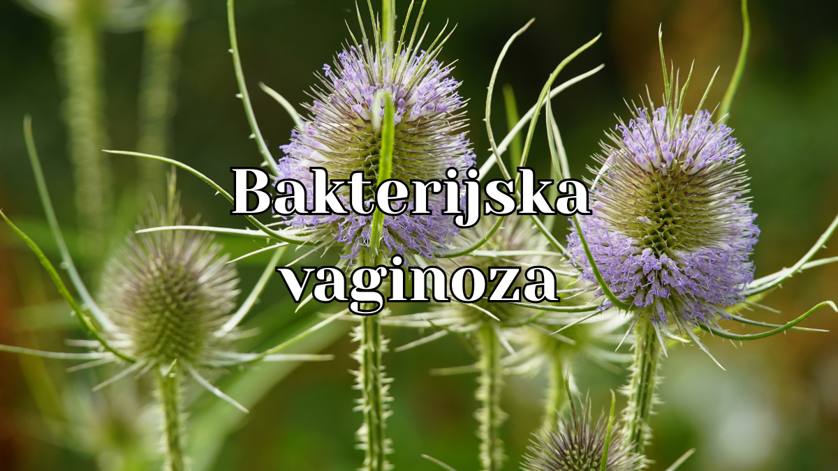 Bakterijska vaginoza: simptomi i rešenja