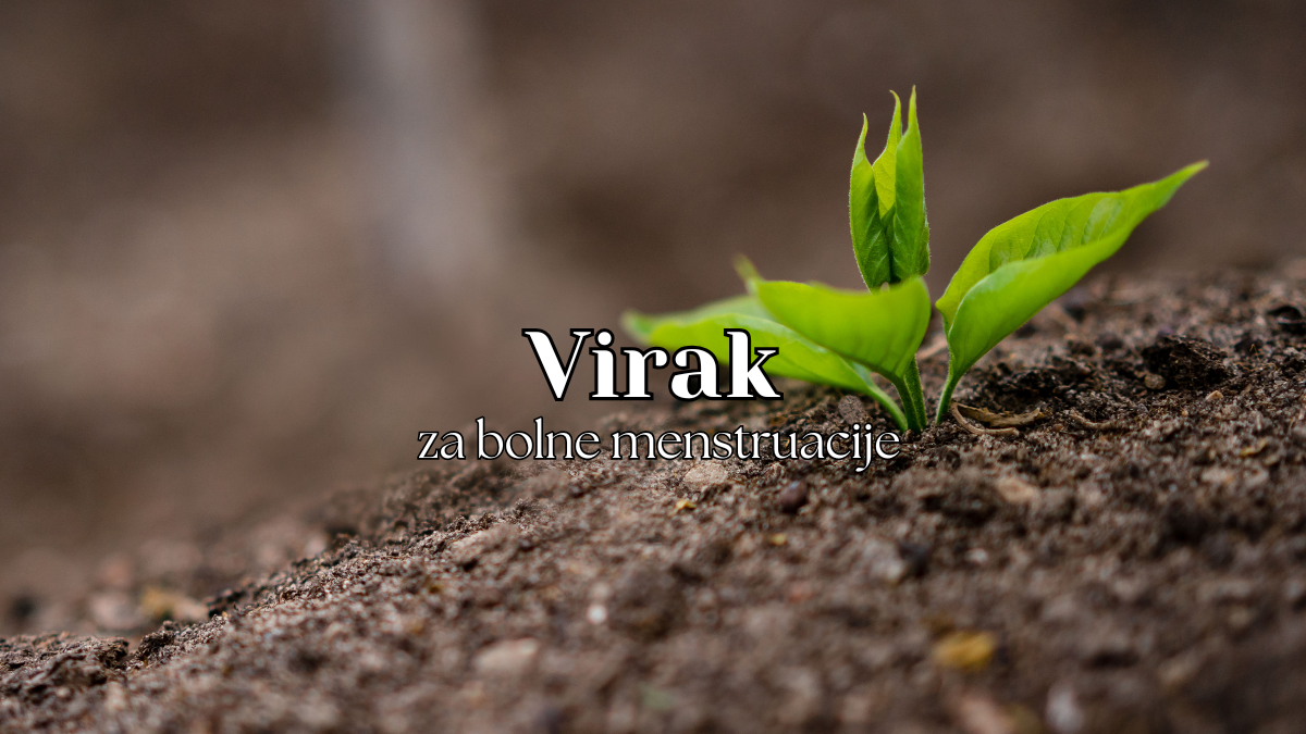 Virak za bolne menstruacije: Prirodno rešenje za menstrualne bolove