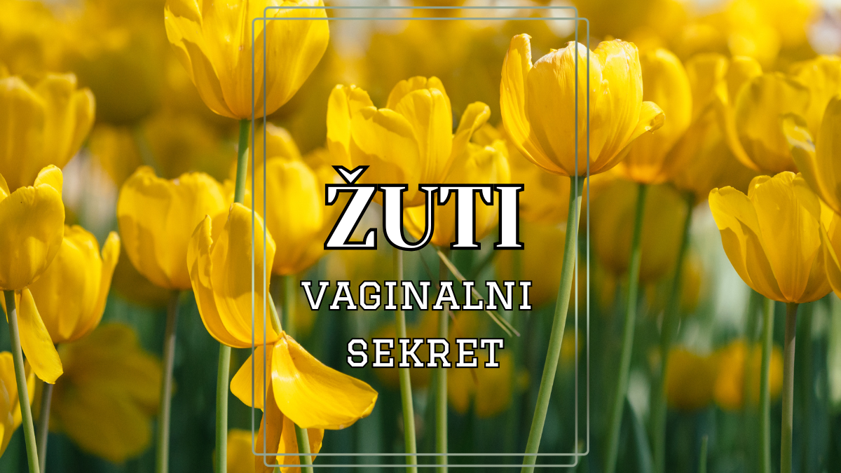 Žuti sekret: Zašto se javlja žut vaginalni iscedak i kako se leči?