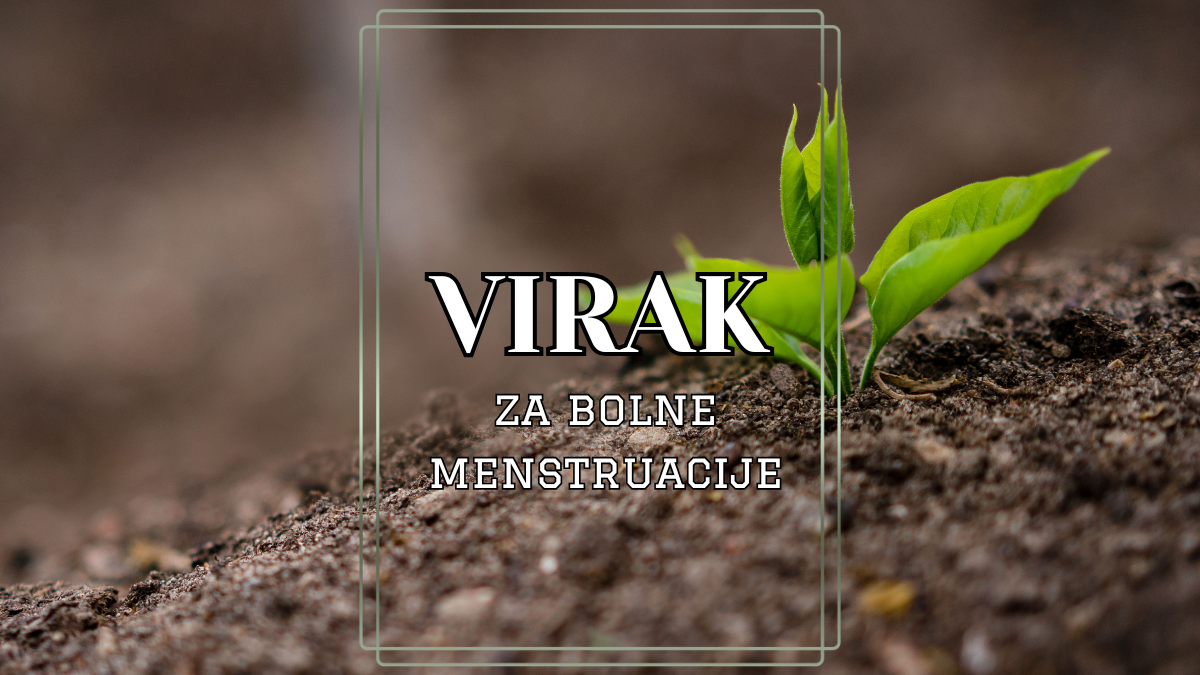 Virak za bolne menstruacije: Prirodno rešenje za menstrualne bolove