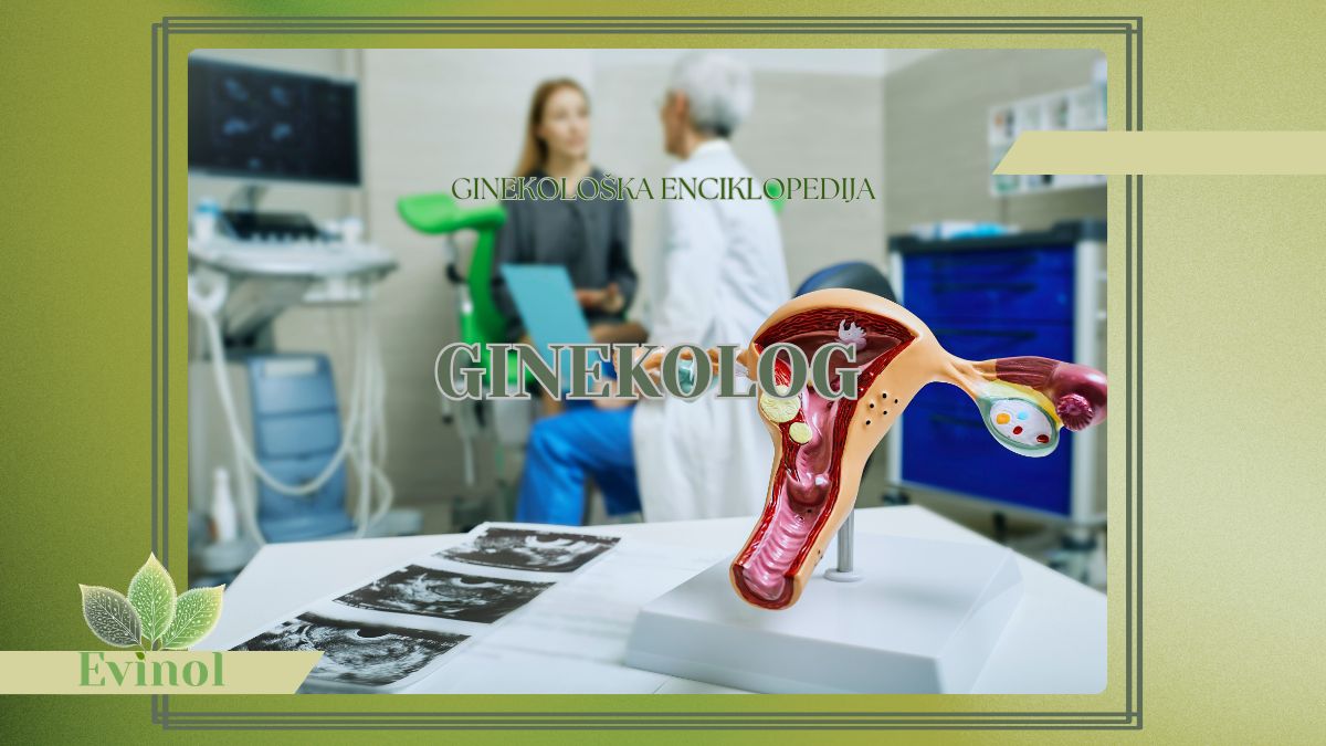 sta radi ginekolog