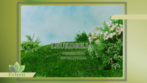 sta je leukoreja beli sekret