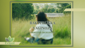 sta je bakterijska vaginoza